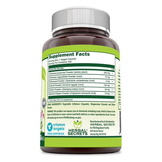 Herbal Secrets Echinacea & Goldenseal Root 450 Mg (250 Count)