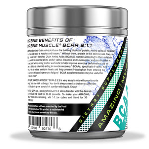 BCAA 2:1:1 (Unflavored) | 500g