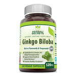Herbal Secrets Ginkgo Biloba Supplement  | 120 mg 120 Capsules